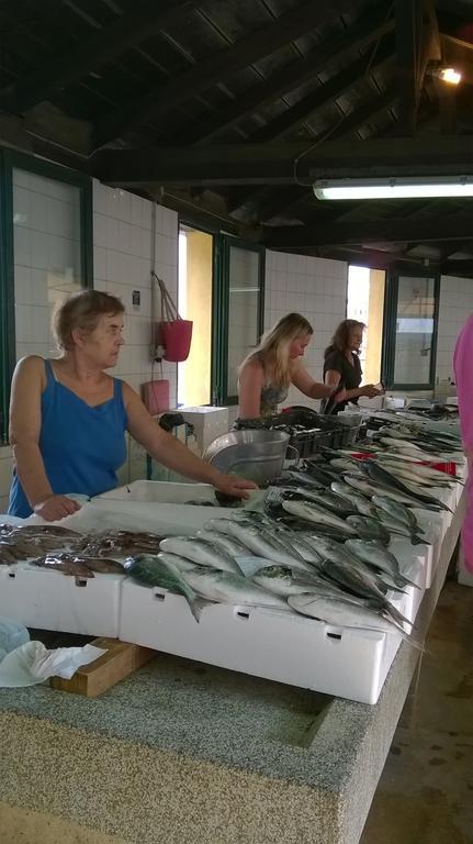 Apartman Noni Biograd na Moru Esterno foto